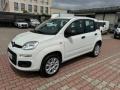 usato FIAT New Panda