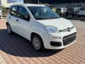 usato FIAT New Panda