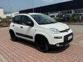 usato FIAT New Panda