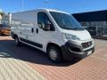 usato FIAT Ducato
