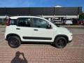 usato FIAT New Panda