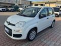 usato FIAT New Panda