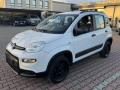 usato FIAT New Panda