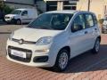 usato FIAT New Panda