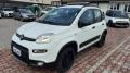 usato FIAT New Panda