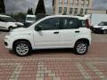 usato FIAT New Panda