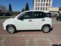 usato FIAT New Panda