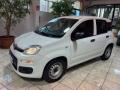 usato FIAT New Panda