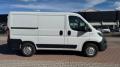 usato FIAT Ducato