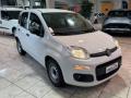 usato FIAT New Panda