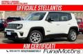 usato JEEP Renegade