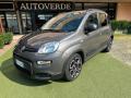 usato FIAT Panda