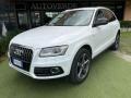 usato AUDI Q5