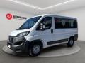 usato FIAT Ducato