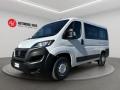 usato FIAT Ducato