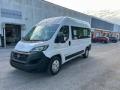 usato FIAT Ducato