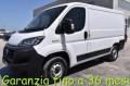 usato FIAT Ducato