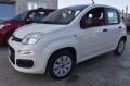 usato FIAT Panda