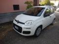 usato FIAT Panda
