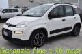 usato FIAT Panda