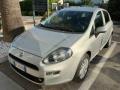 usato FIAT Punto