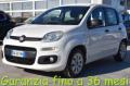 usato FIAT Panda