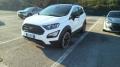 usato FORD EcoSport