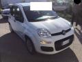 usato FIAT Panda