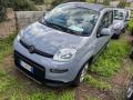 usato FIAT Panda