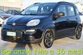 usato FIAT Panda