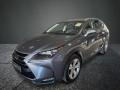 usato LEXUS NX 300h