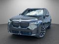 usato BMW X3