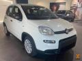 Km 0 FIAT Panda