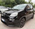 usato FIAT Panda