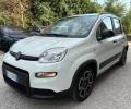 usato FIAT Panda