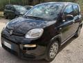 usato FIAT Panda