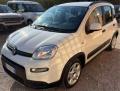 usato FIAT Panda