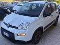 usato FIAT Panda