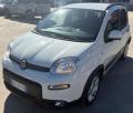 usato FIAT Panda