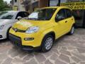 usato FIAT Panda