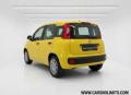 usato FIAT Panda