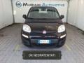 usato FIAT Panda