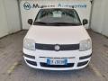 usato FIAT Panda