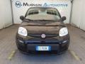 usato FIAT Panda