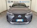 usato LEXUS UX 250h