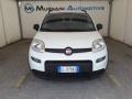 usato FIAT Panda