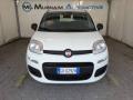 usato FIAT Panda