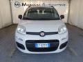 usato FIAT Panda
