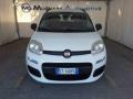 usato FIAT Panda