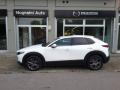 usato MAZDA CX 30